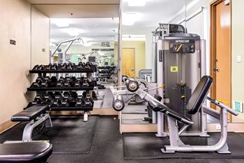 Fitness Center with Free Weights